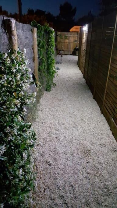 Le Chai De L'Ocean - Studio Avec Jardin Et Terrasse - Plage 300 M Soulac-sur-Mer Buitenkant foto